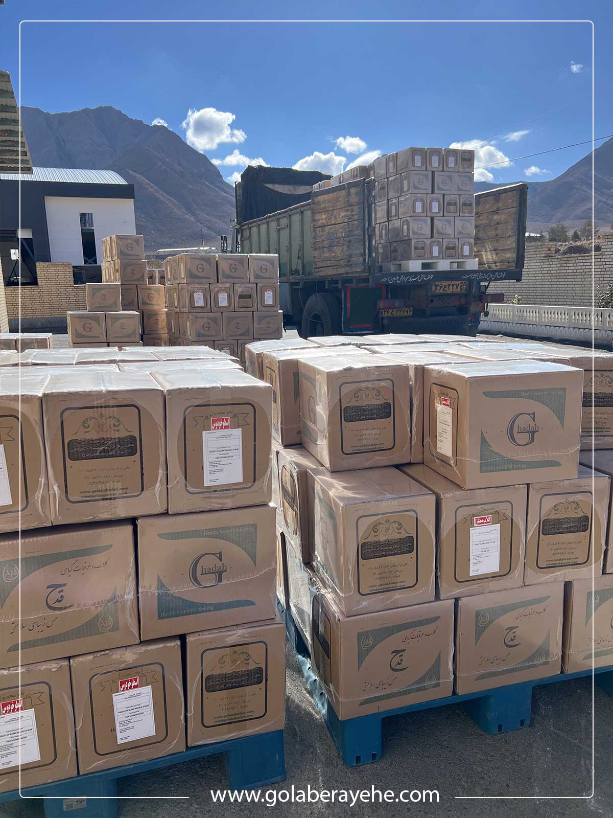 صادرات گلاب و عرقیات قدح به مالزی